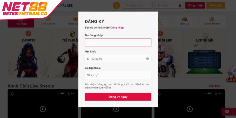 Điền thông tin cá nhân đăng ký NET88