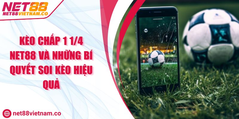 Kèo Chấp 1 1/4 NET88 Và Những Bí Quyết Soi Kèo Hiệu Quả