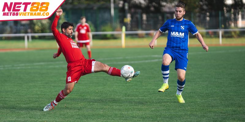 Kinh nghiệm đánh bóng cỏ NET88 hay nhất là tìm dữ liệu trận đấu