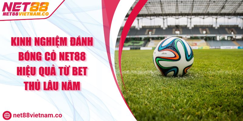 Kinh Nghiệm Đánh Bóng Cỏ NET88 Hiệu Quả Từ Bet Thủ Lâu Năm