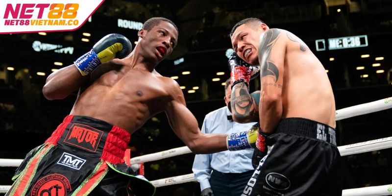 Quyền Anh P Sports