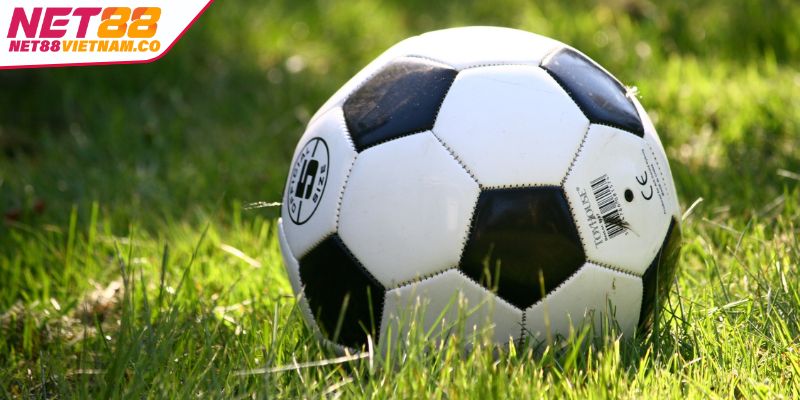 Ra quyết định cược kèo châu Âu một cách quyết đoán 